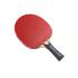 Butterfly Stayer 1600 Shakehand FL Table Tennis Racket with Rubber and 2 Balls