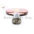 Butterfly TBC 203 FL Pre-Assembled Magnitude Rubber Shakehand Table Tennis Racket Ping Pong Bat